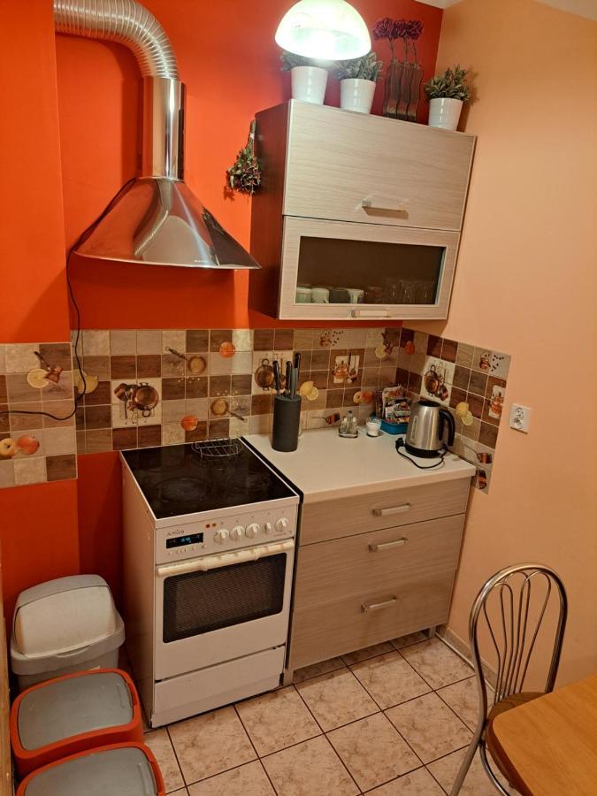 Appartement Wiking à Szklarska Poreba Extérieur photo